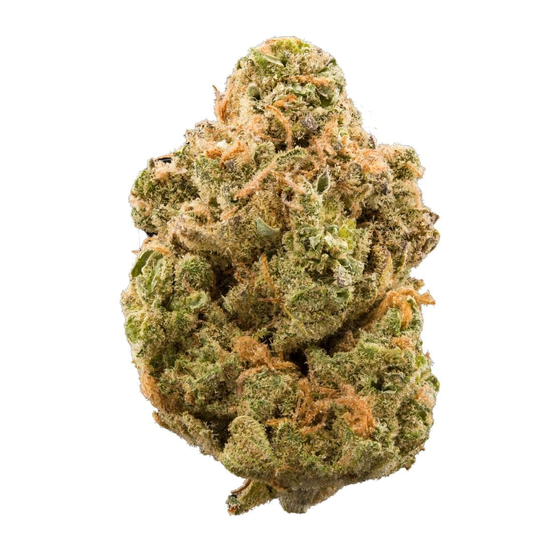 Rainbow Sherbert | 1G | Small Batch Flower